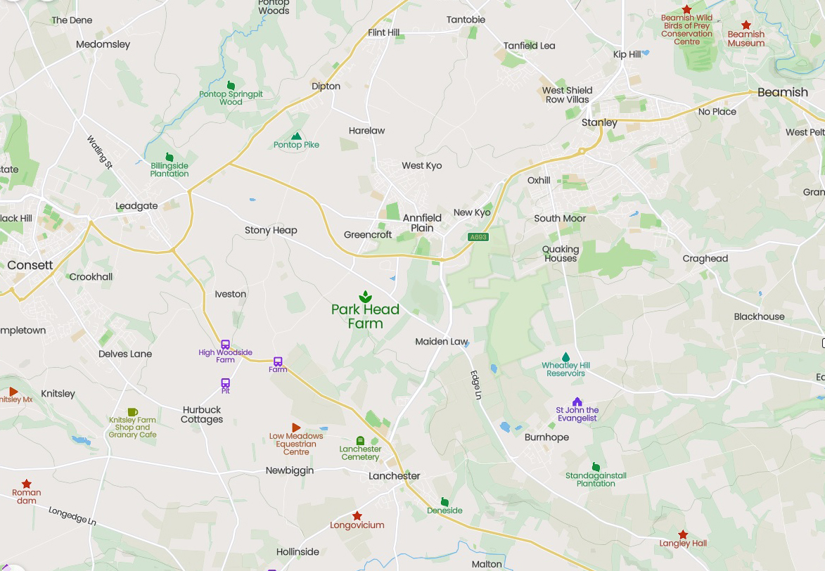 Hurbuck and Biggin Writing Up the Ancestors